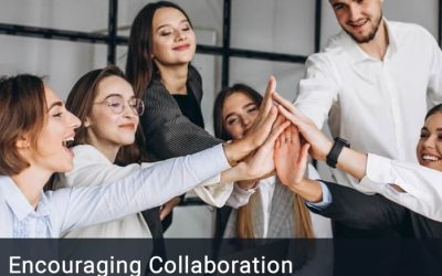 Employees Thrive When Communication Is Open, Leadership Listens, and Collaboration Is Encouraged